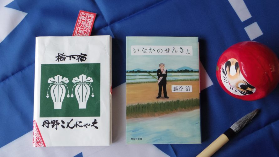 いなかのせんきょ　藤谷治